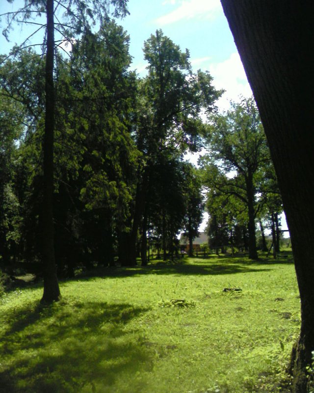 &nbsp;