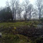 2010-05-01 Timm